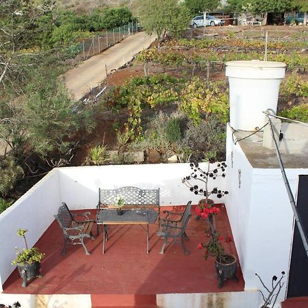 Vivienda Vacacional Lulu 蒂哈拉费 外观 照片